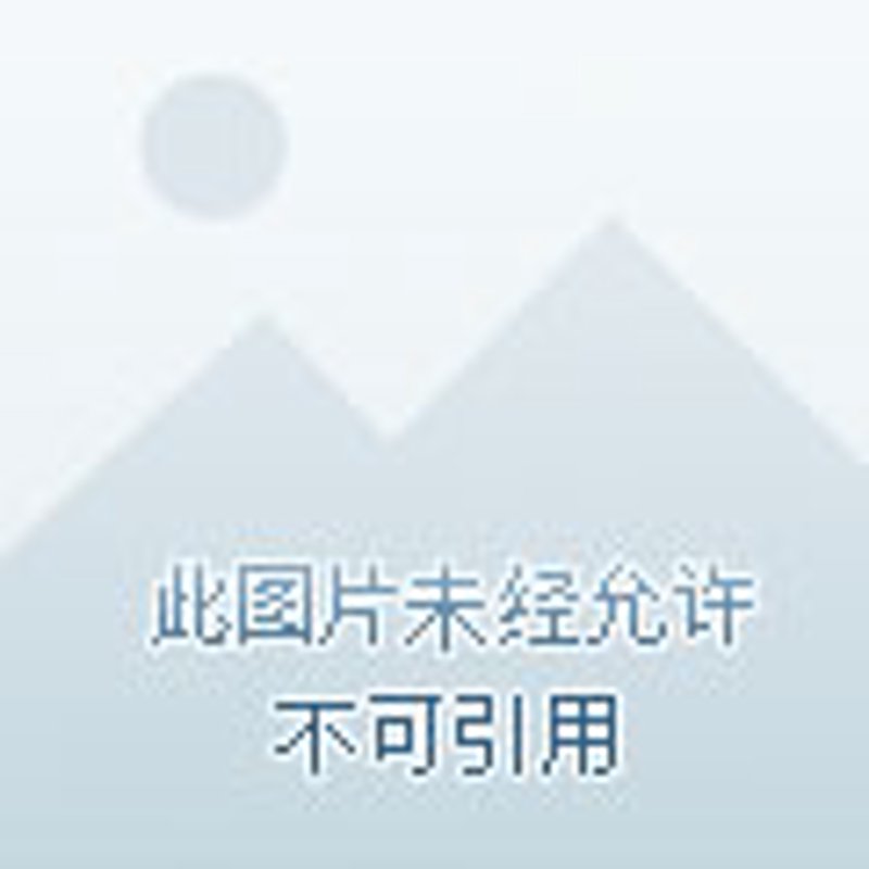 金叶物业:为您的社区注入活力