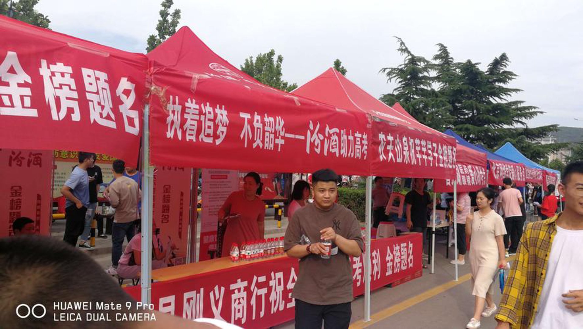 金叶物业